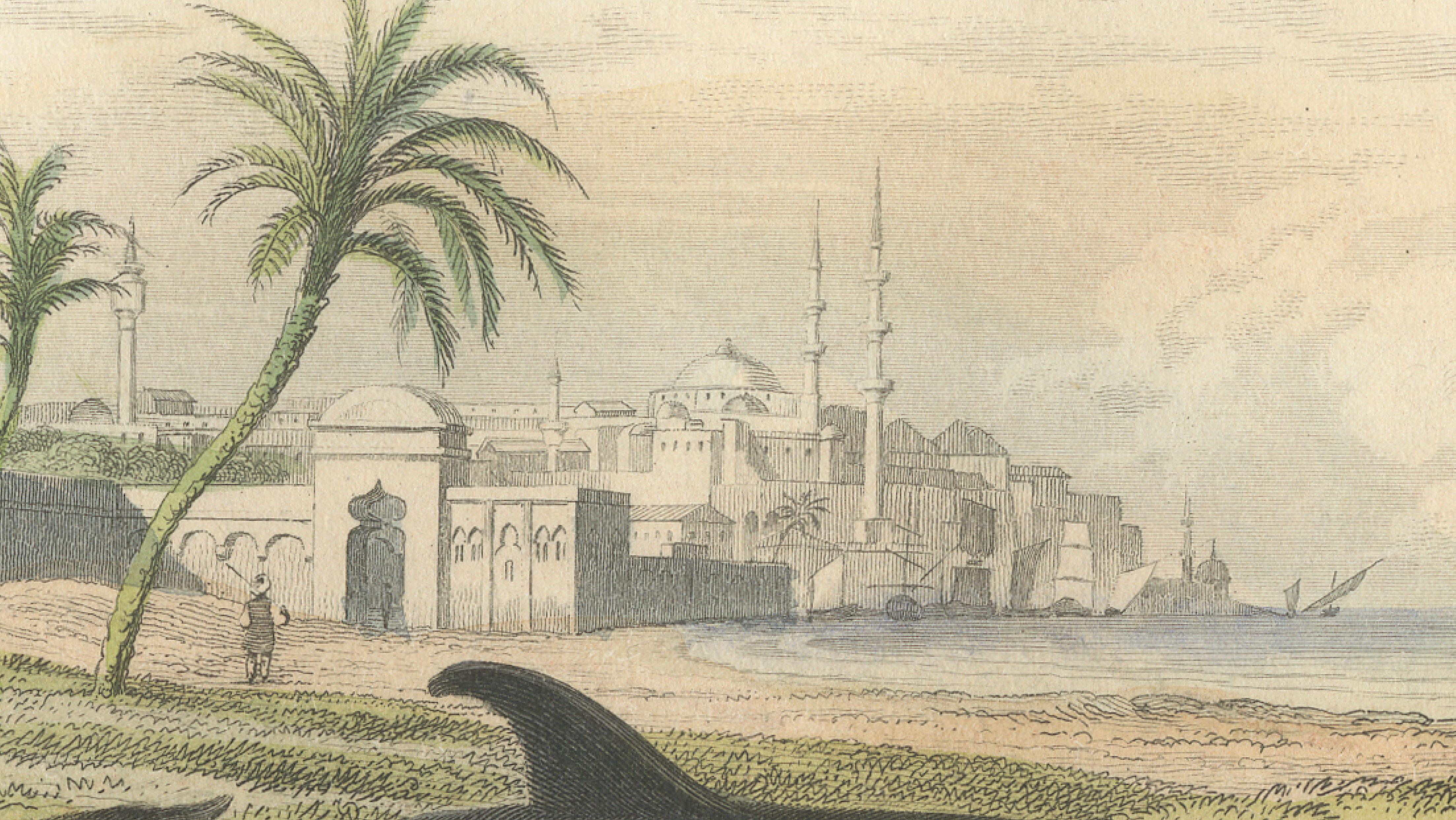 Le Dauphin Vulgaire (Common Dolphin), Hand-Colored Engraving, 1840