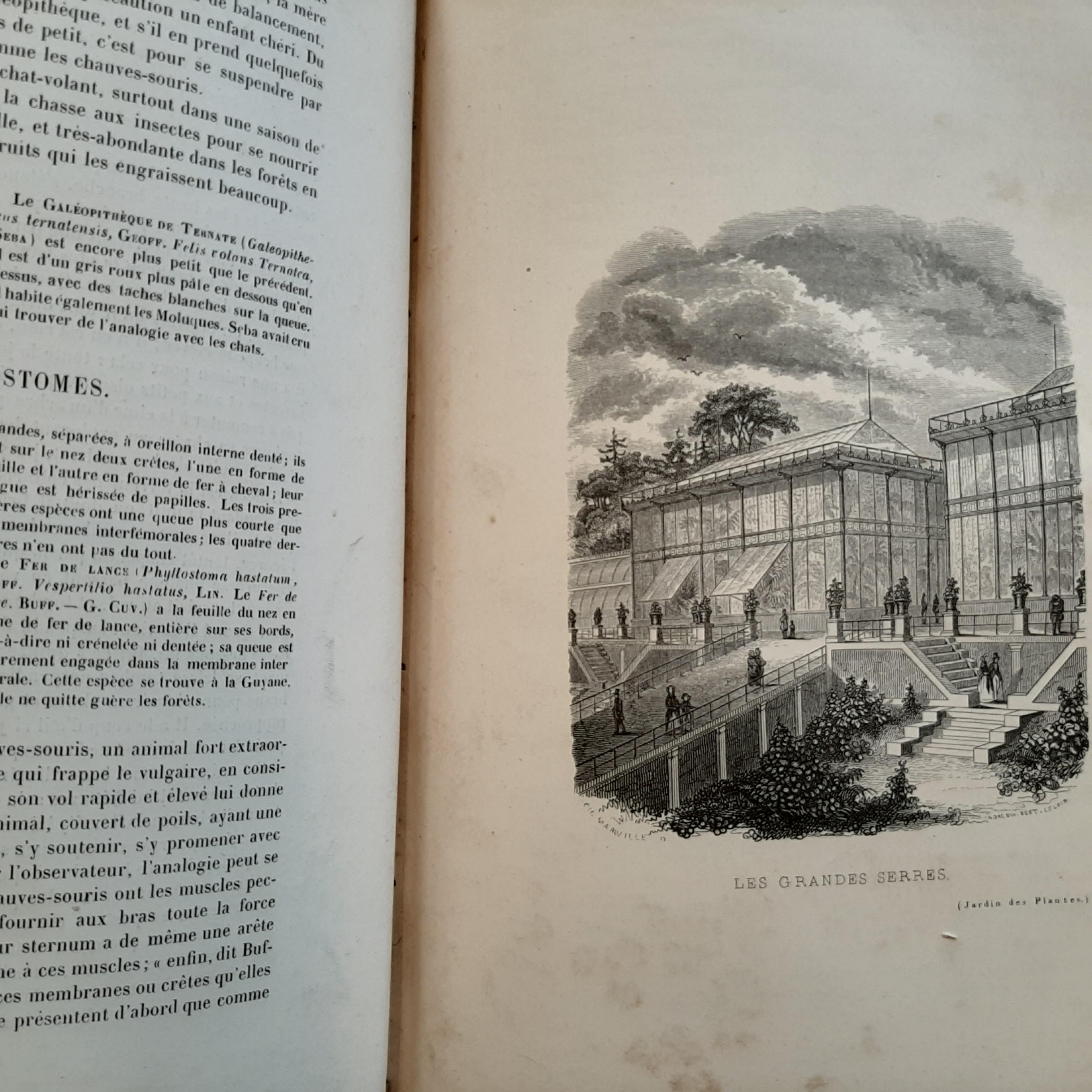 Le Jardin des Plantes, Description et Moeurs des Mammifèeres (1842) For Sale 2