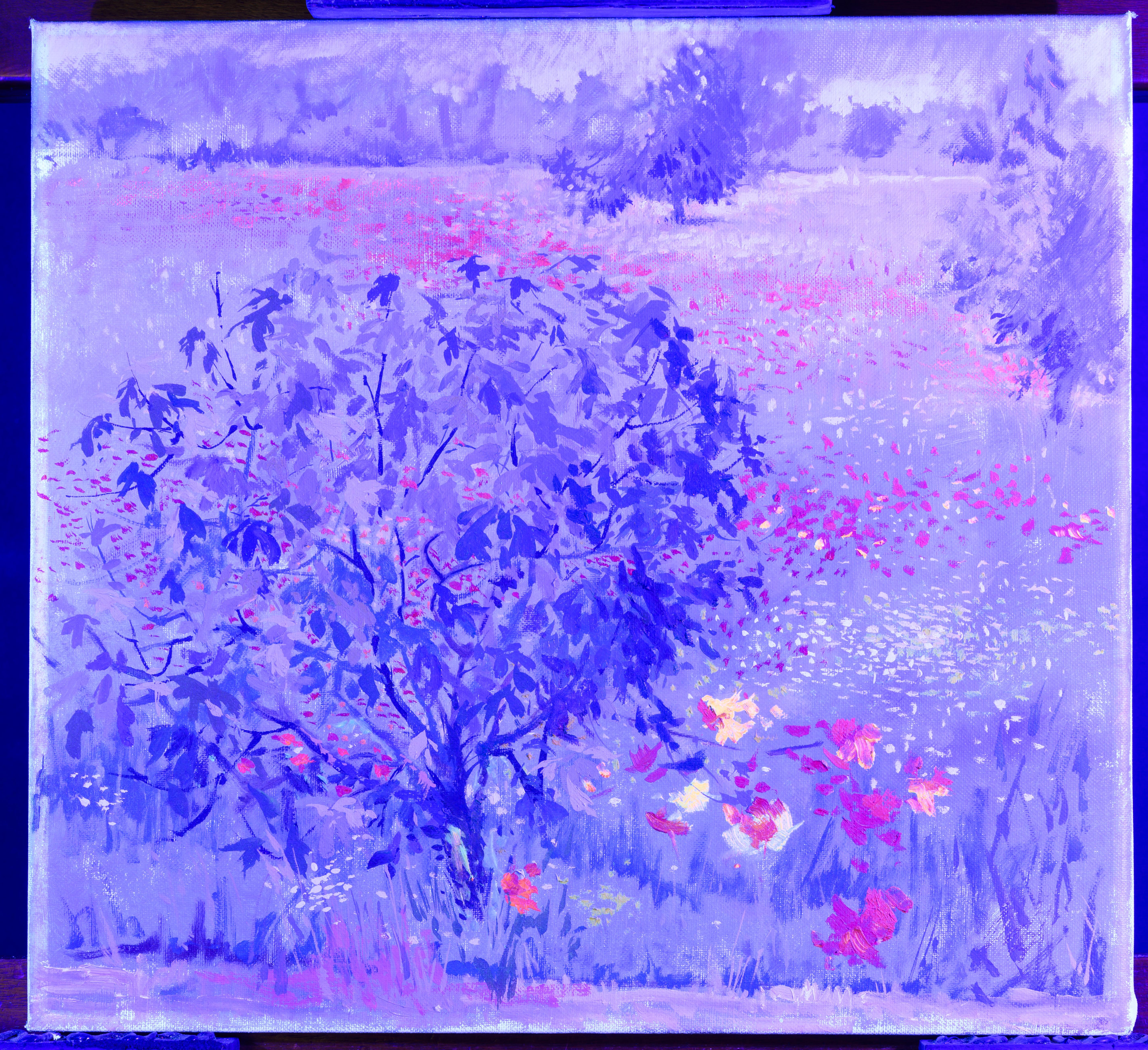 landscape with poppies For Sale 6