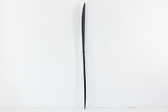 Le Sceptre Noir