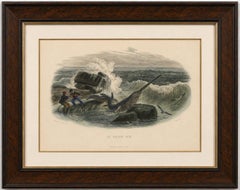 „Le Squale Scie“ (Sägefisch), handkolorierter Stich, 1840