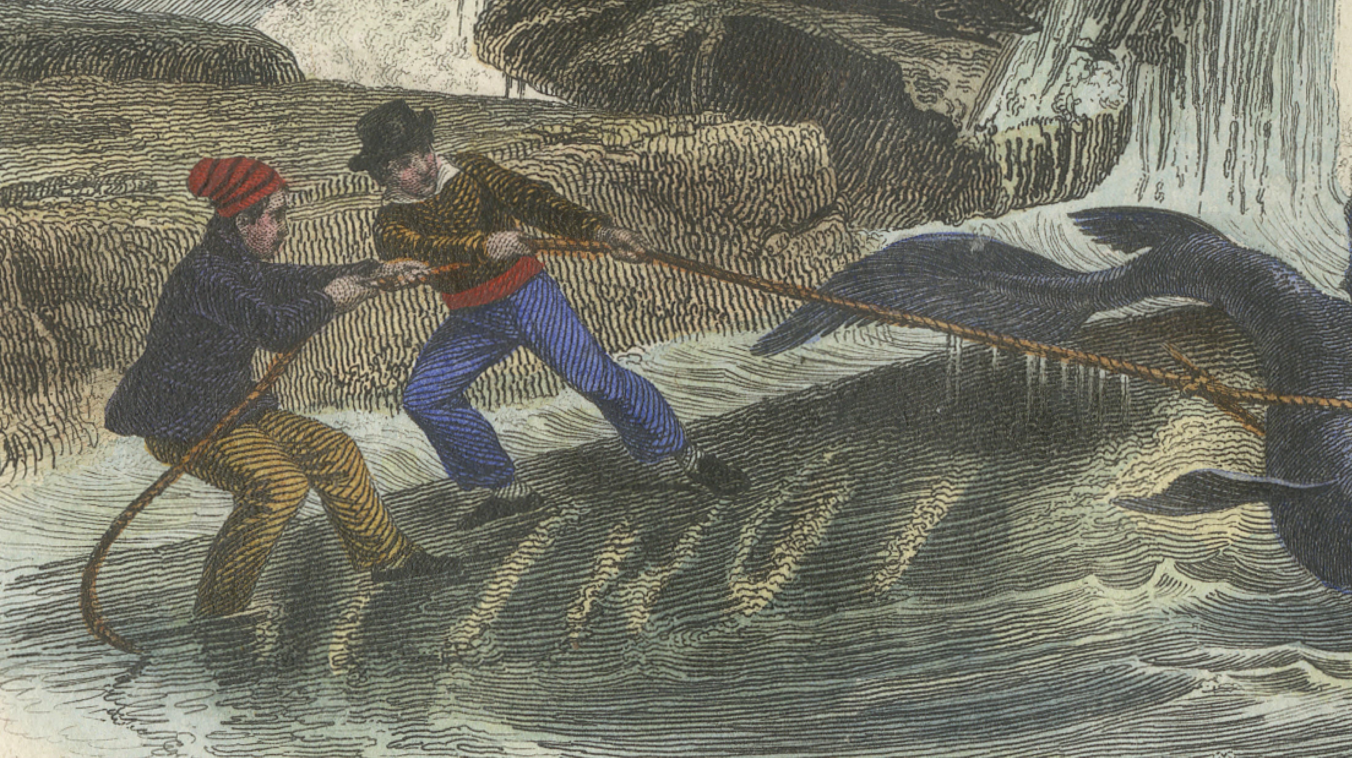 Le Squale Scie (Sawfish), Hand-Colored Engraving, 1840