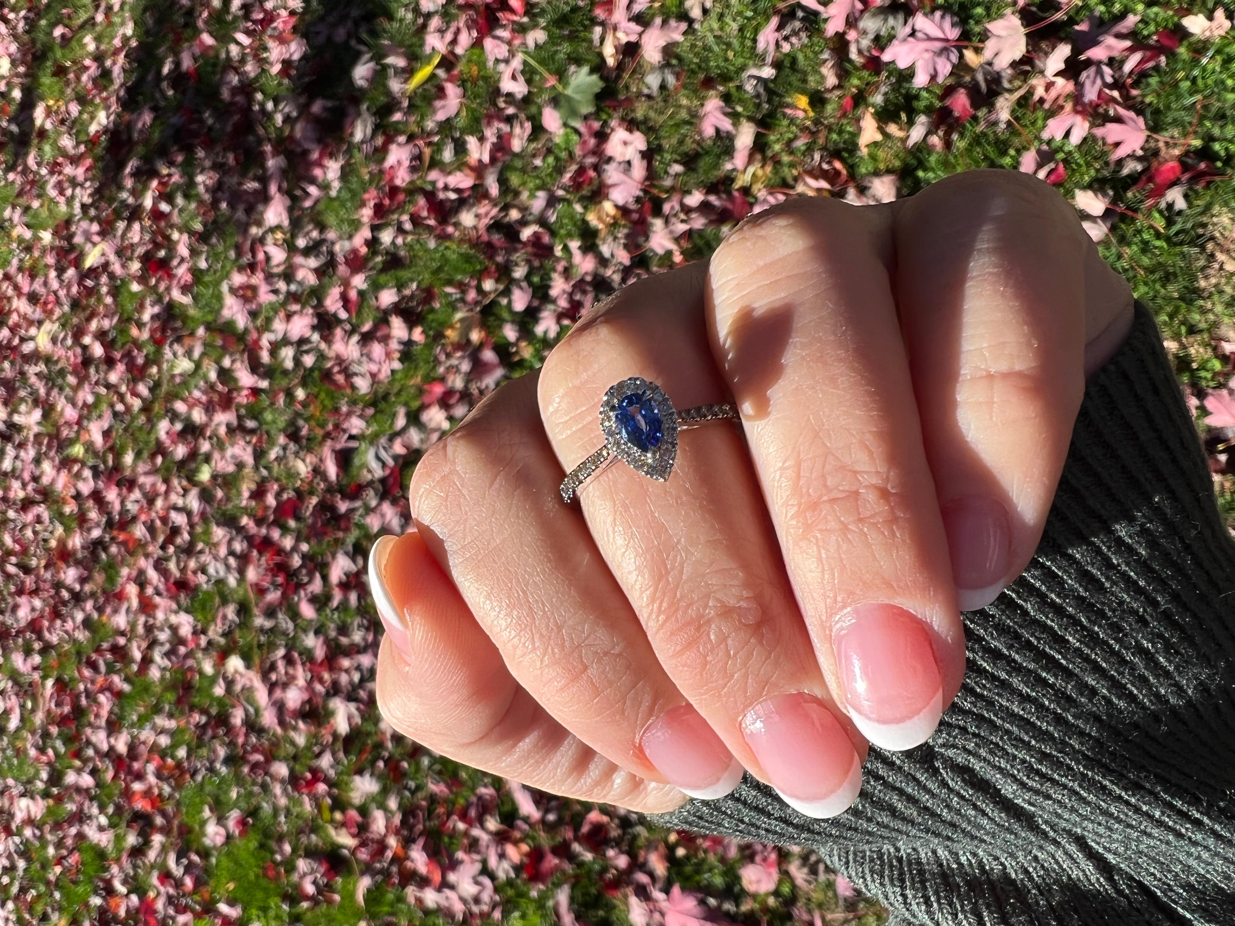 Le Vian® Ring mit 1/2 kt. Blueberry Sapphire™, 1/5 cts. Schokoladen-Diamanten®, 1/6 Karat. Nackte Diamanten™ gefasst in 14K Vanilla Gold®.
