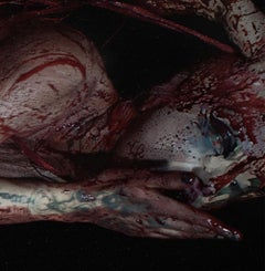 Gárgara detail I. Limited Edition Color Figurative Photograph.