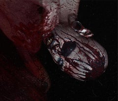 Gárgara detail II. Limited Edition Color Figurative Photograph.