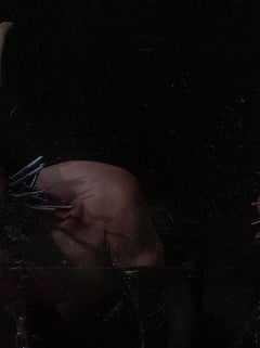 Gargolas III. Limited Edition Color portrait  photograph.