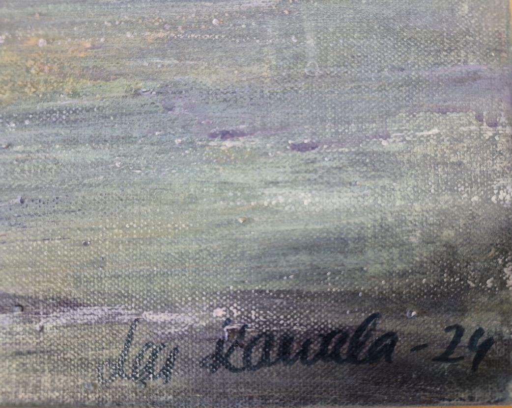 Saimaa ringed seal im Angebot 1