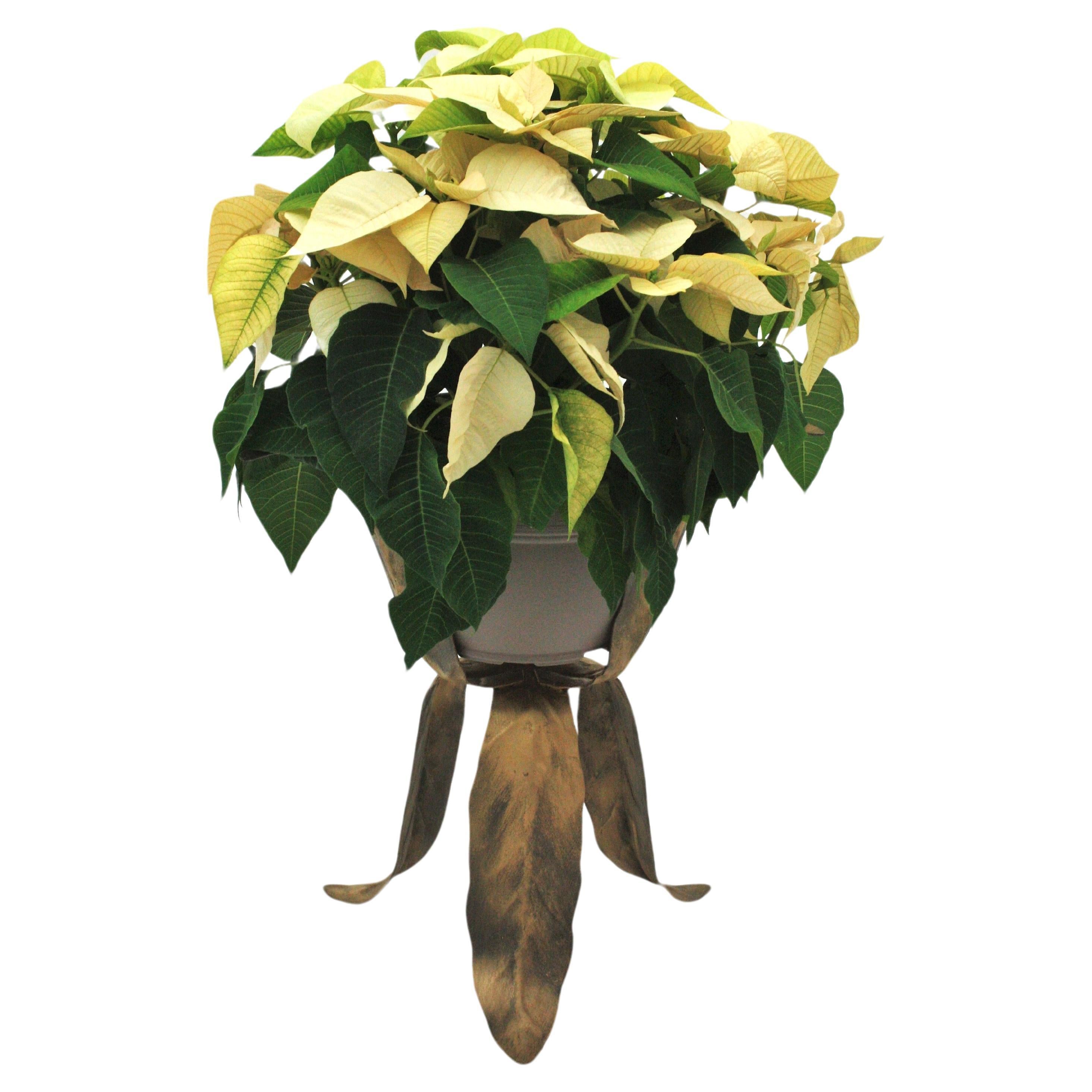 Leafed Tripod Planter / Jardinière in Patinated Metal.
Manufactured at the Mid-Century Modern period, Spain, 1950-1960.
Nice design with three leaves standing up on a tripod leafed base. Original gilt patinated finish.
Beautiful placed alone or with