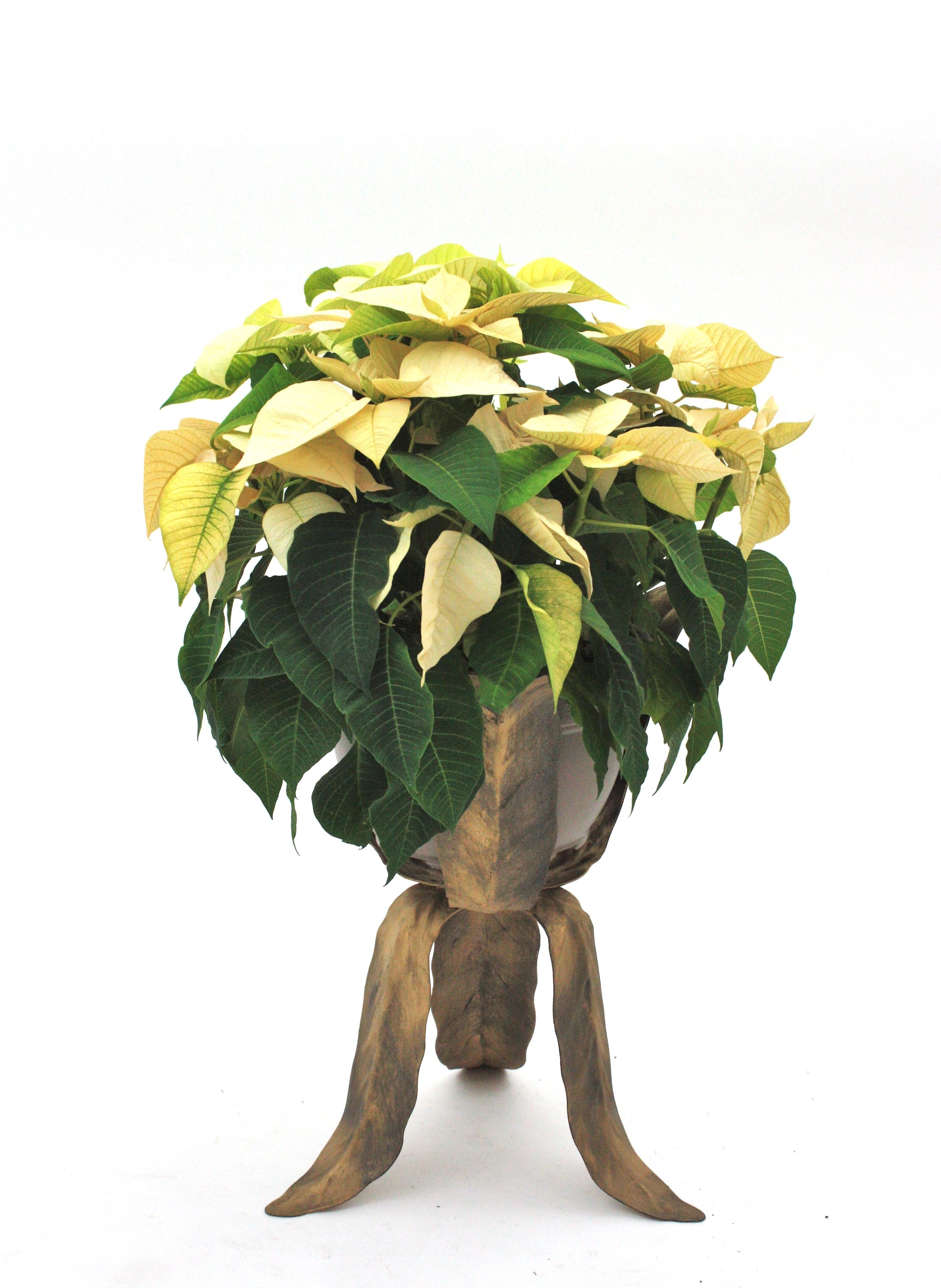 Leaf Design/One Tripod Plant Stand en métal patiné doré en vente 1