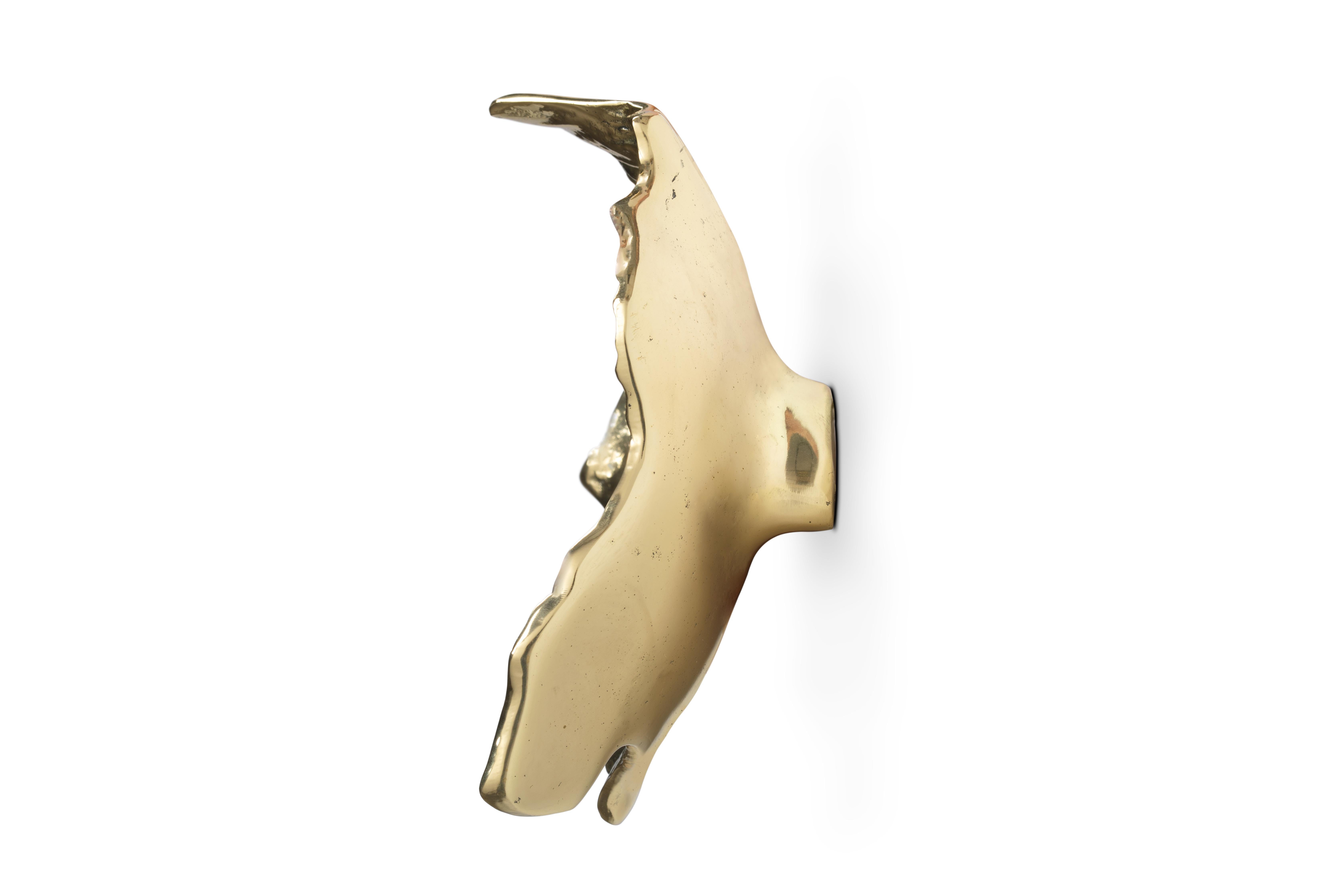 Brushed Leaf Door Pull For Sale