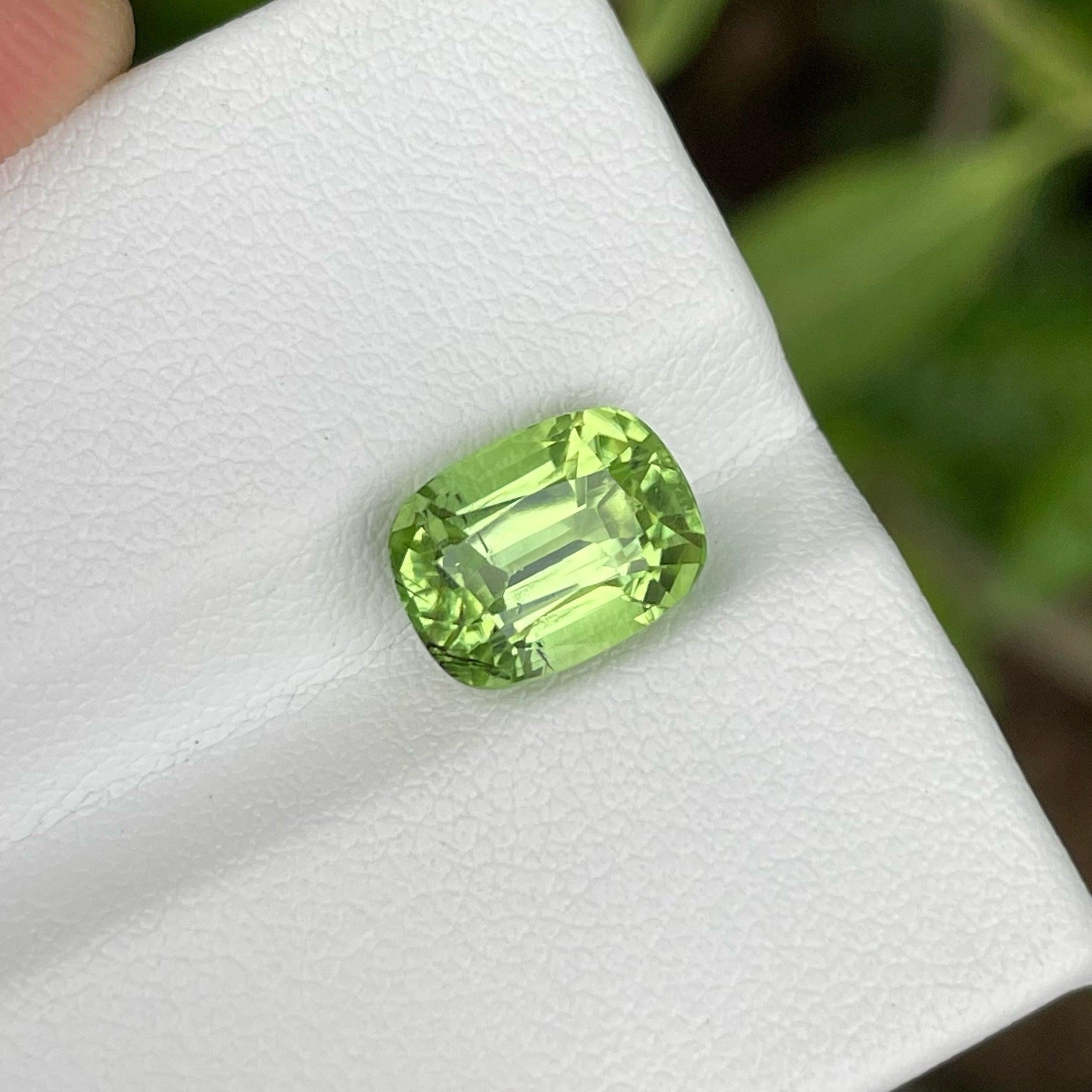 Blattgrüner Peridot aus Pakistan 4,46 Karat Peridot Stein Peridot für Schmuck (Moderne)