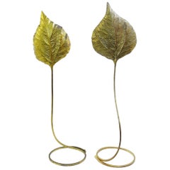 Leaf-Shaped Floor Lamp in Brass by Tommaso Barbi, Italy, 1970s