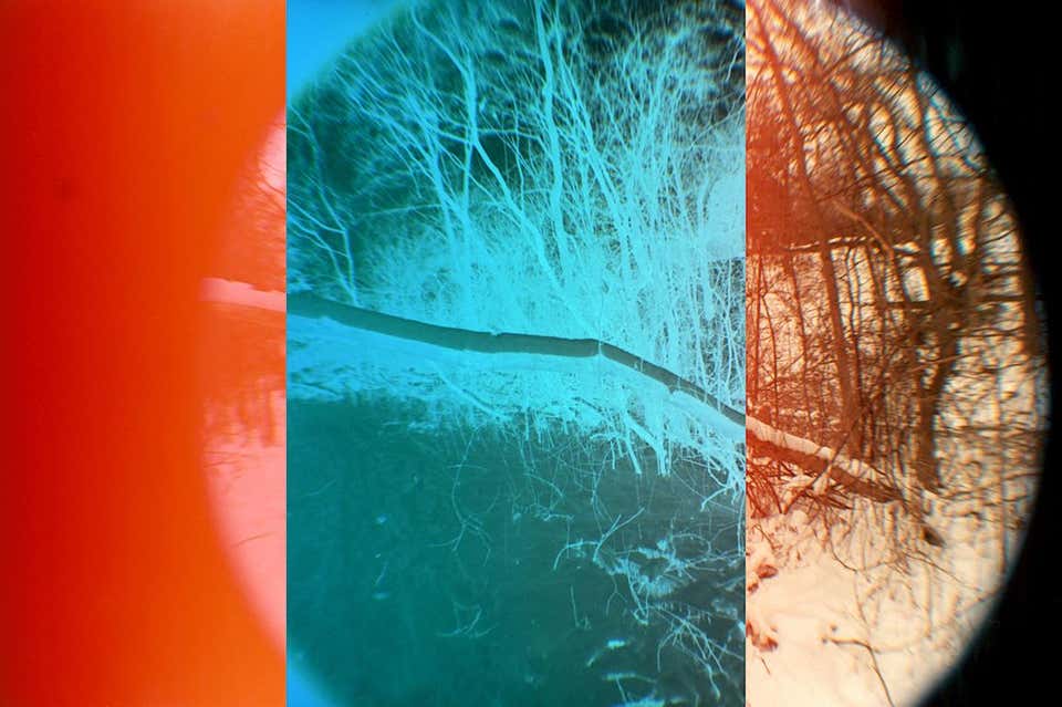 Leah Oates - Transitory Space (Sky Blue Tree 23 Blue, Prospect Park ...