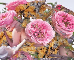 "The Season of The Censors" Photography, Dye Sublimation on Aluminum