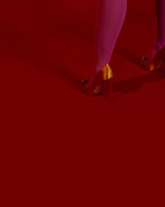 Gambe rosa II