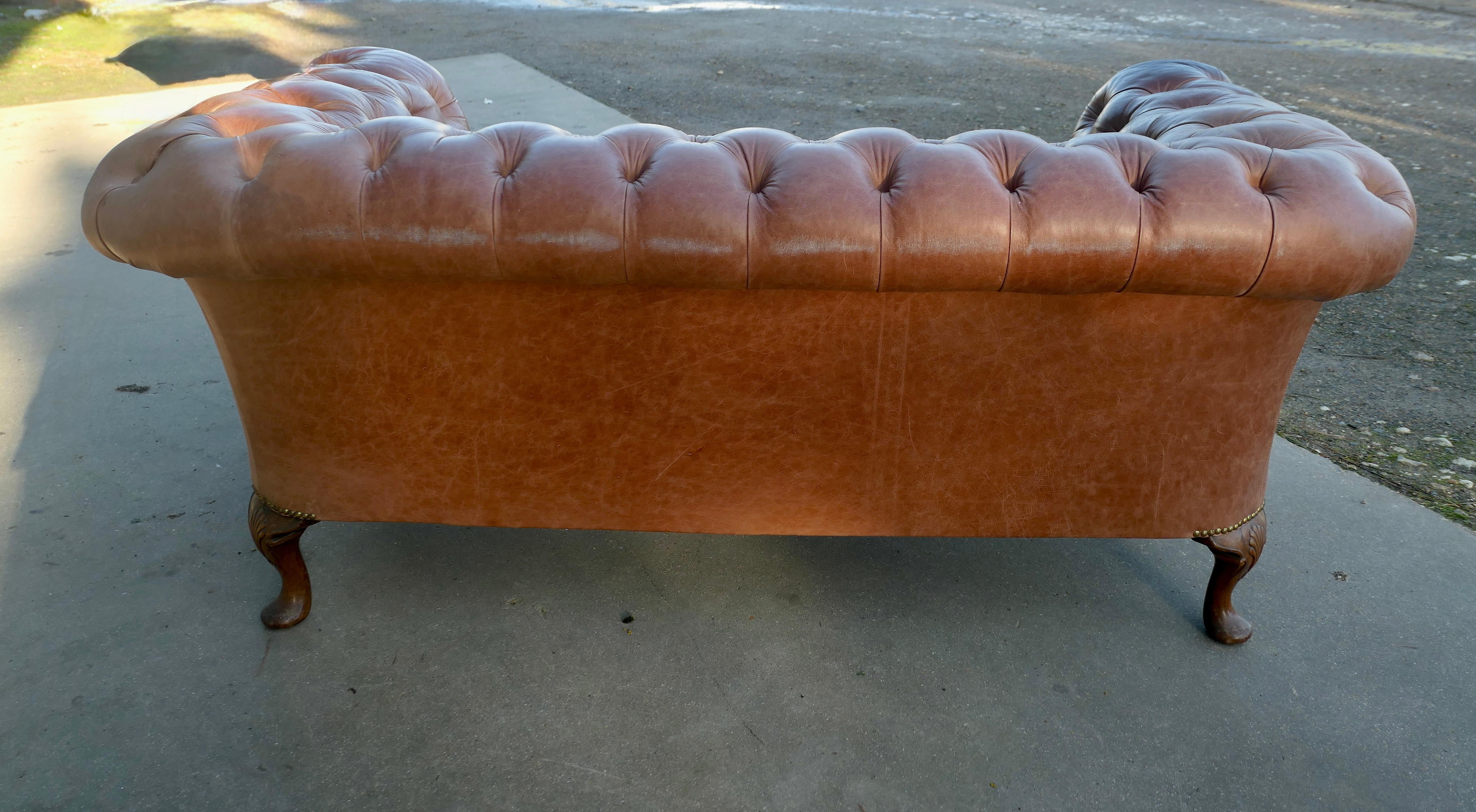Leather 2 Seater Library Chesterfield  Settee For Sale 3