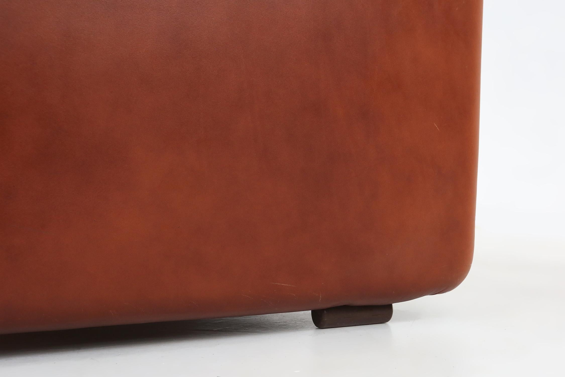 Leather 2-seater sofa Coronado by Tobia Scarpa for B&B Italia, Italy ca. 1960 For Sale 9