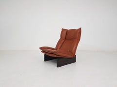 Leather and Wood Lounge Chair by Leolux, Dutch Modern Design, 1970s