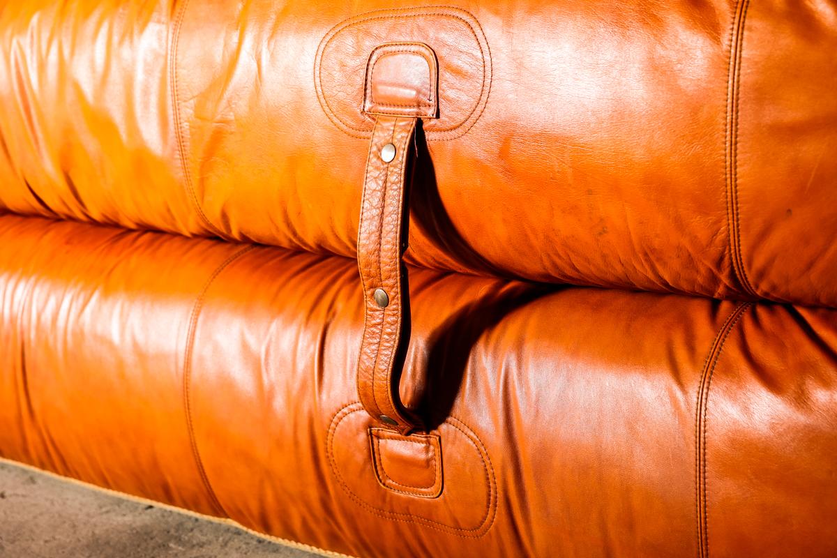 Leather Anfibio Sofa Bed by Alessandro Becchi for Giovannetti Collezioni, 1971 5