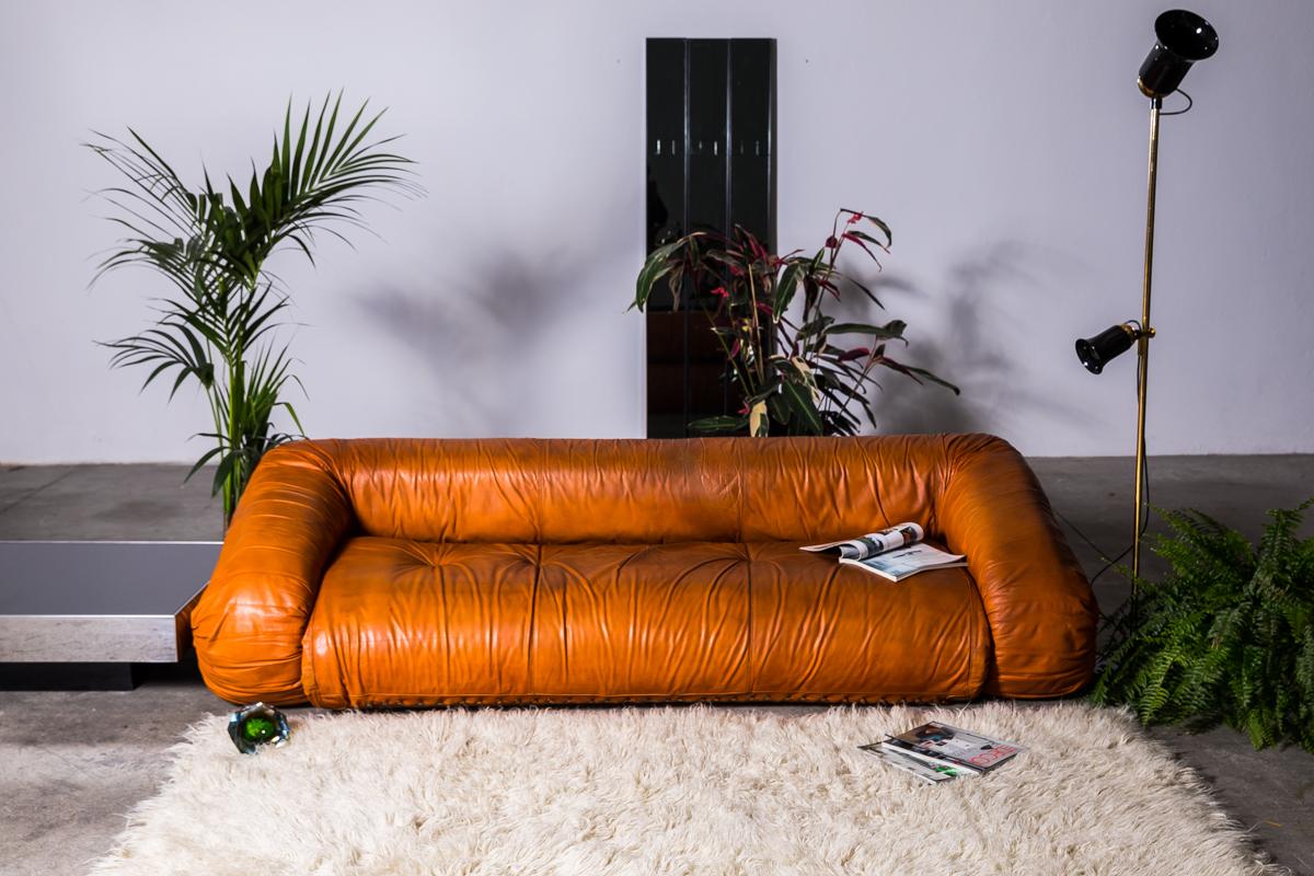 anfibio couch