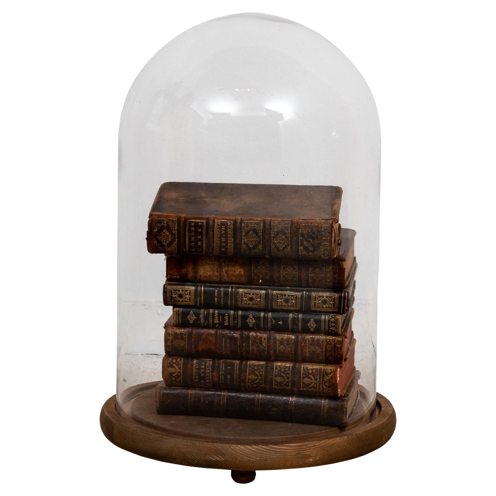 Leather Books in Glass Cloche For Sale