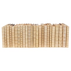 Leather Bound Ivory Book Set with Decorated Spines, Set of 24