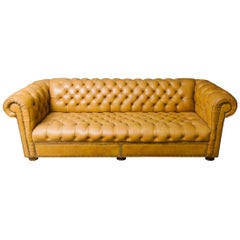 Leather Chesterfield Sofa with Brass Nailheads