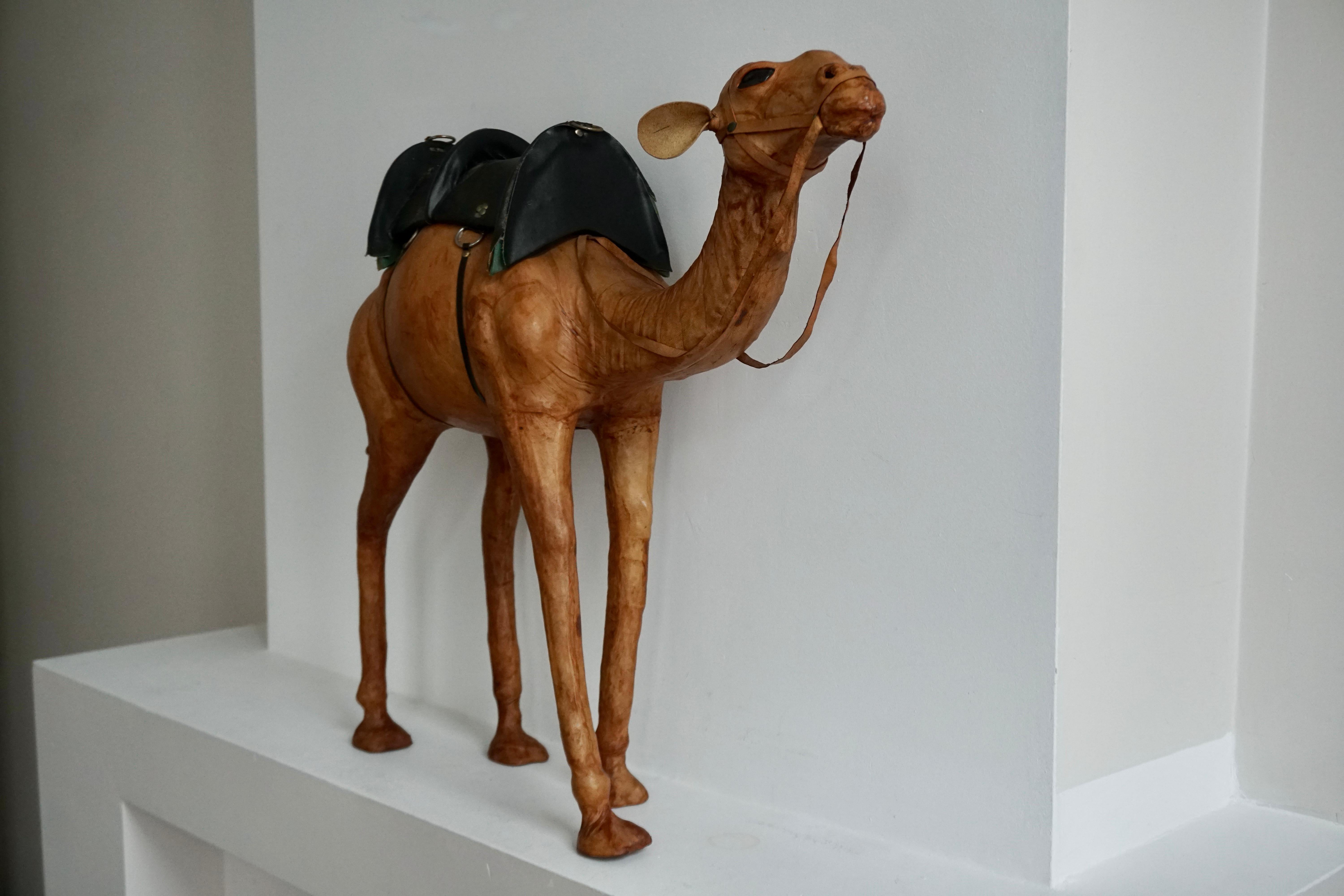 Good size and highly decorative camel or dromedary sculpture with saddle, mid-20th century. 

This full-grown and very realistic dromedary has both great aesthetic and decorative value. Underneath the leather hide is a very well carved wooden