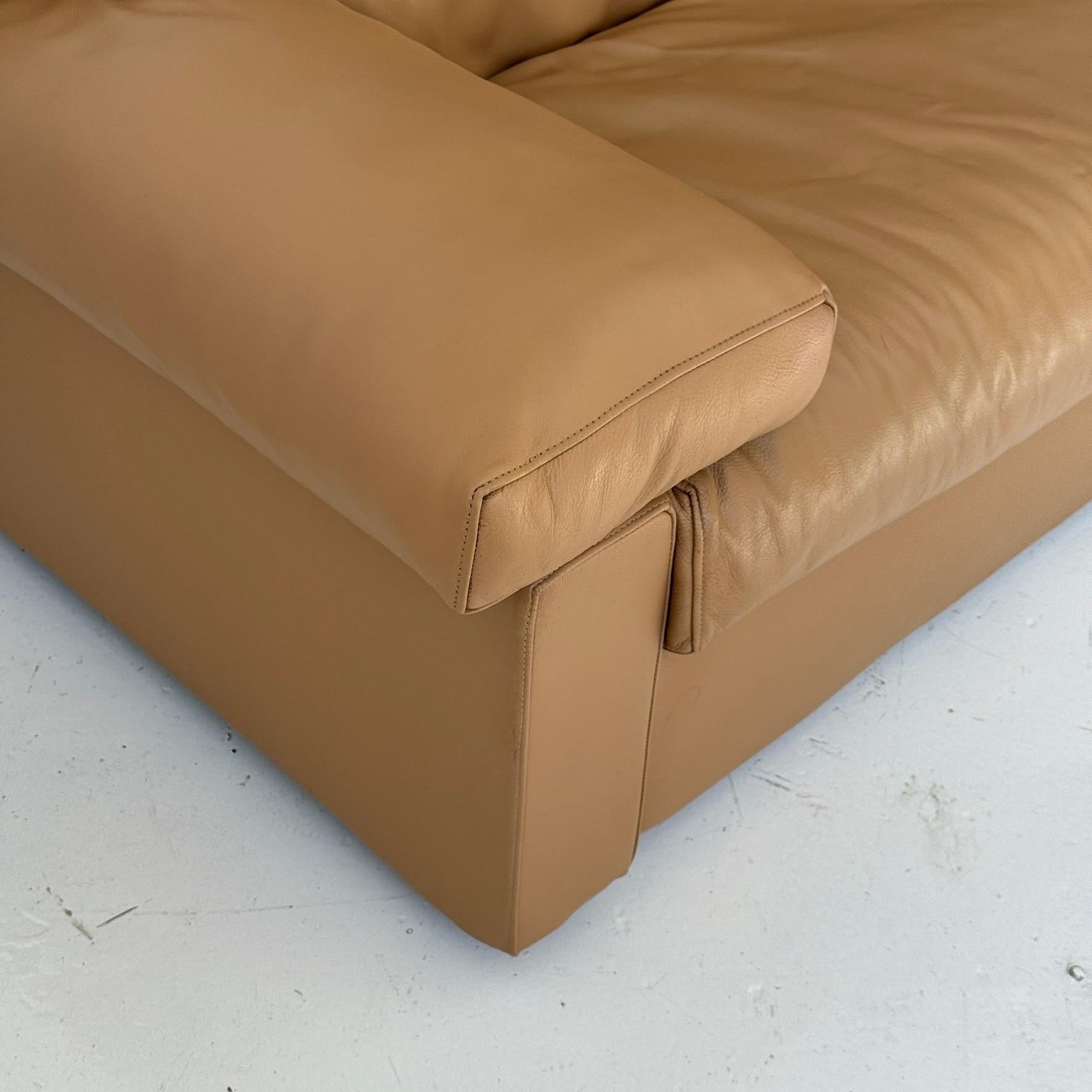 Erasmo Sofa aus Leder von Afra und Tobia Scarpa für B&B Italia im Angebot 4