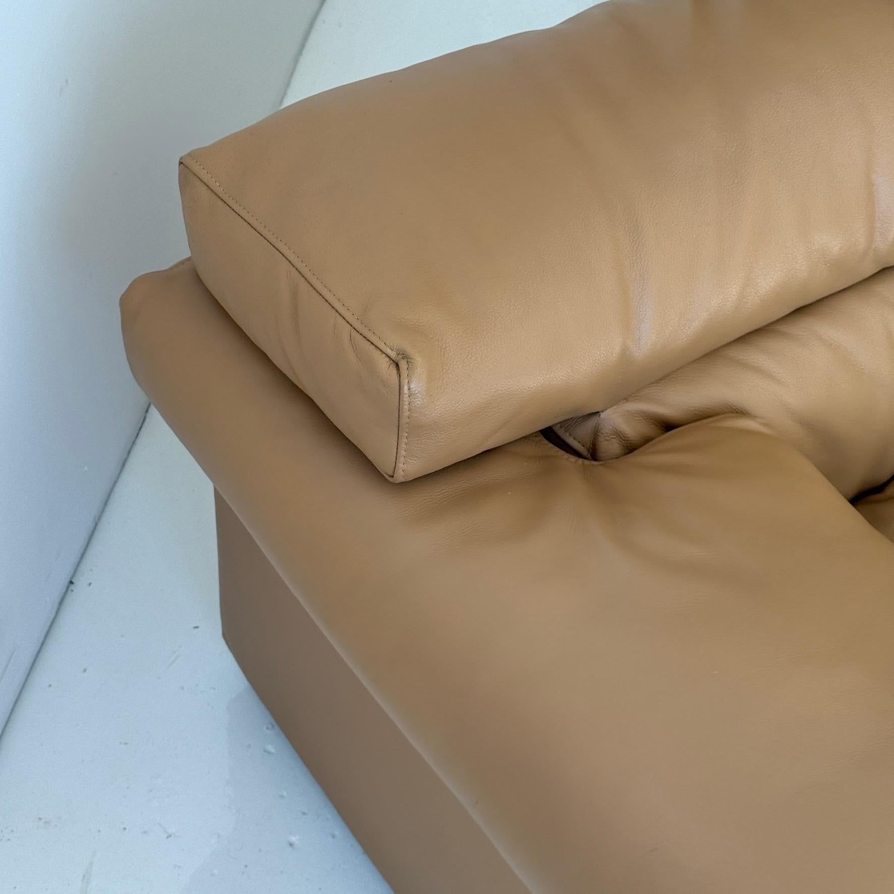 Erasmo Sofa aus Leder von Afra und Tobia Scarpa für B&B Italia im Angebot 5