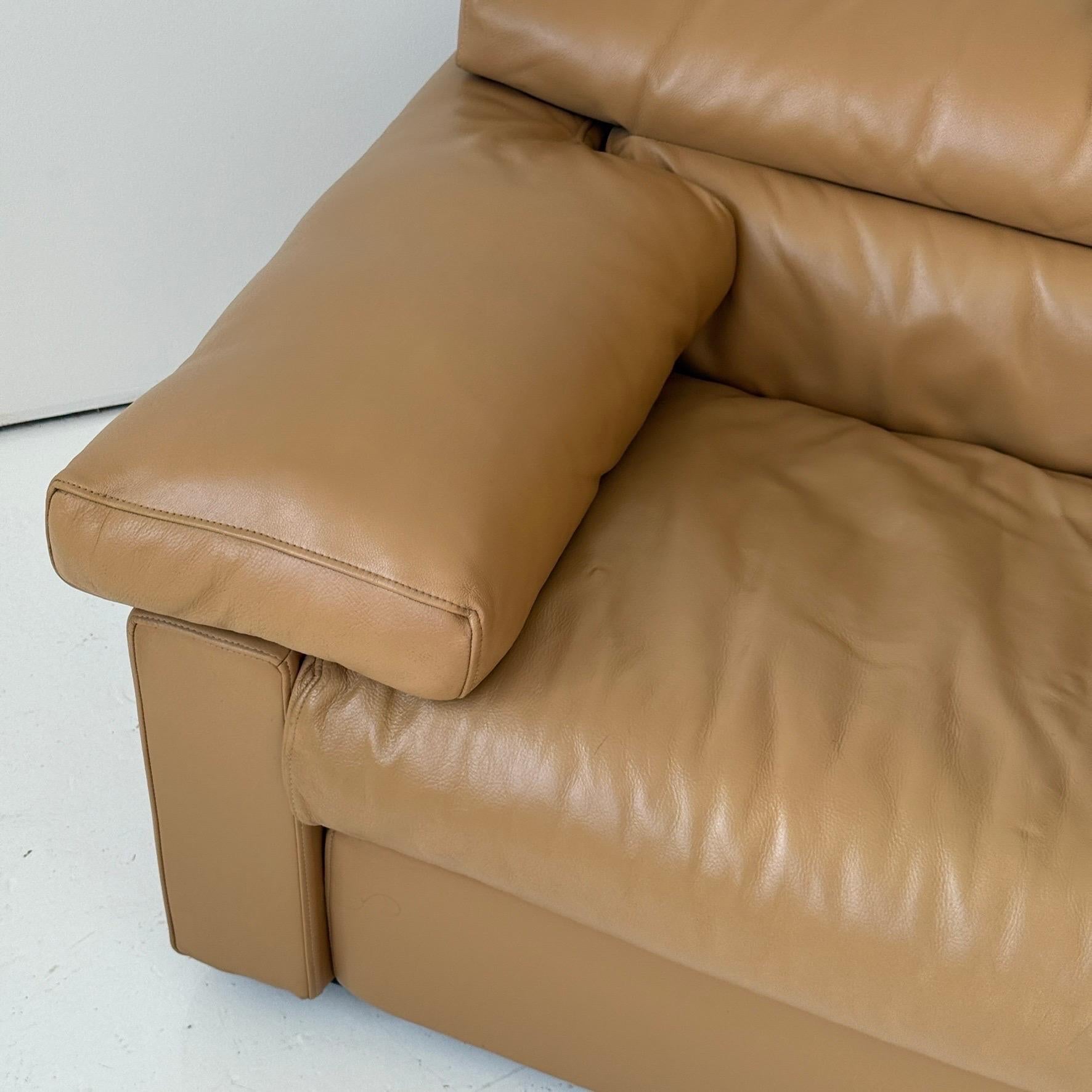 Erasmo Sofa aus Leder von Afra und Tobia Scarpa für B&B Italia (Moderne der Mitte des Jahrhunderts) im Angebot