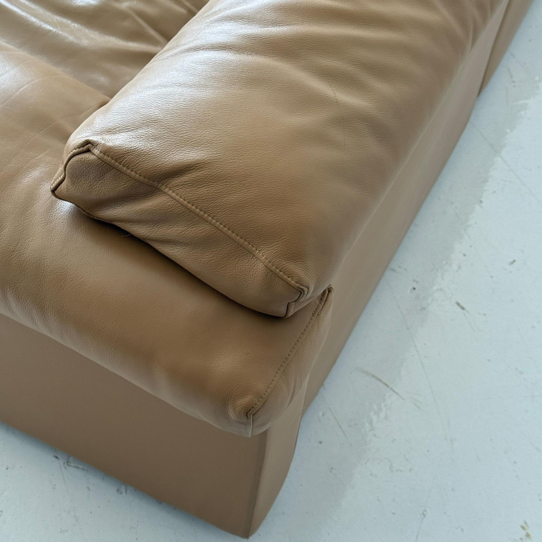 Erasmo Sofa aus Leder von Afra und Tobia Scarpa für B&B Italia (Italienisch) im Angebot