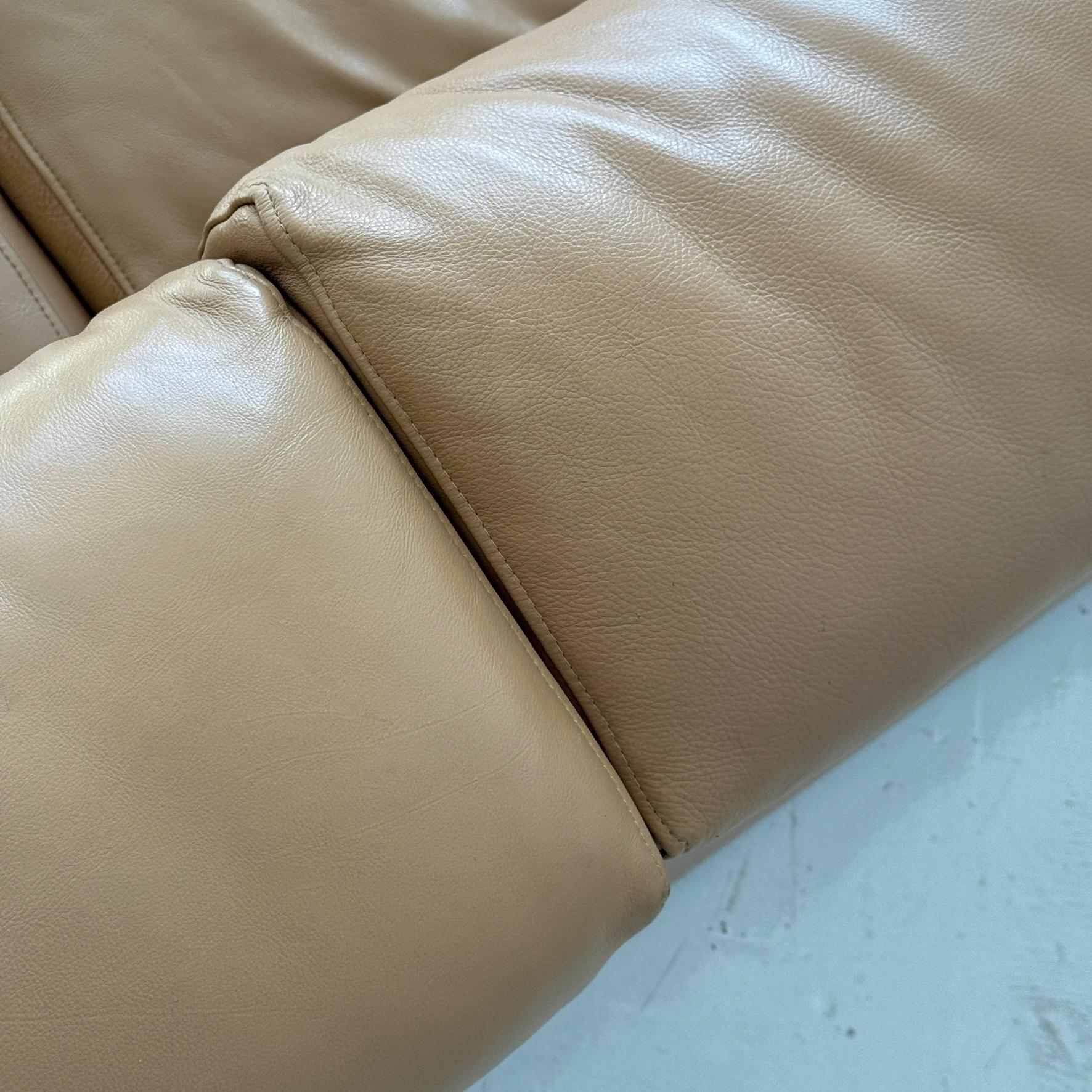 Erasmo Sofa aus Leder von Afra und Tobia Scarpa für B&B Italia (Sonstiges) im Angebot