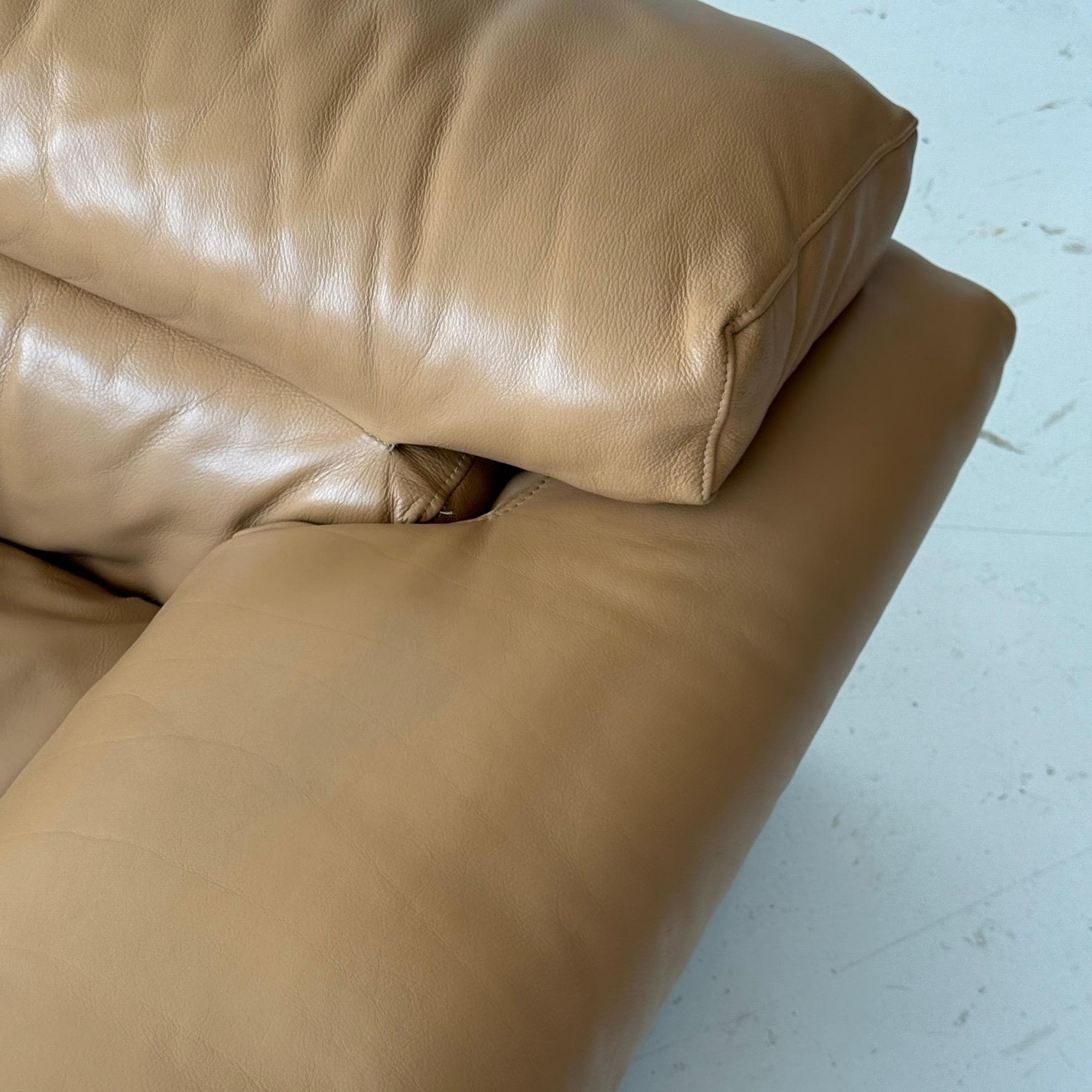 Erasmo Sofa aus Leder von Afra und Tobia Scarpa für B&B Italia im Zustand „Gut“ im Angebot in Chicago, IL