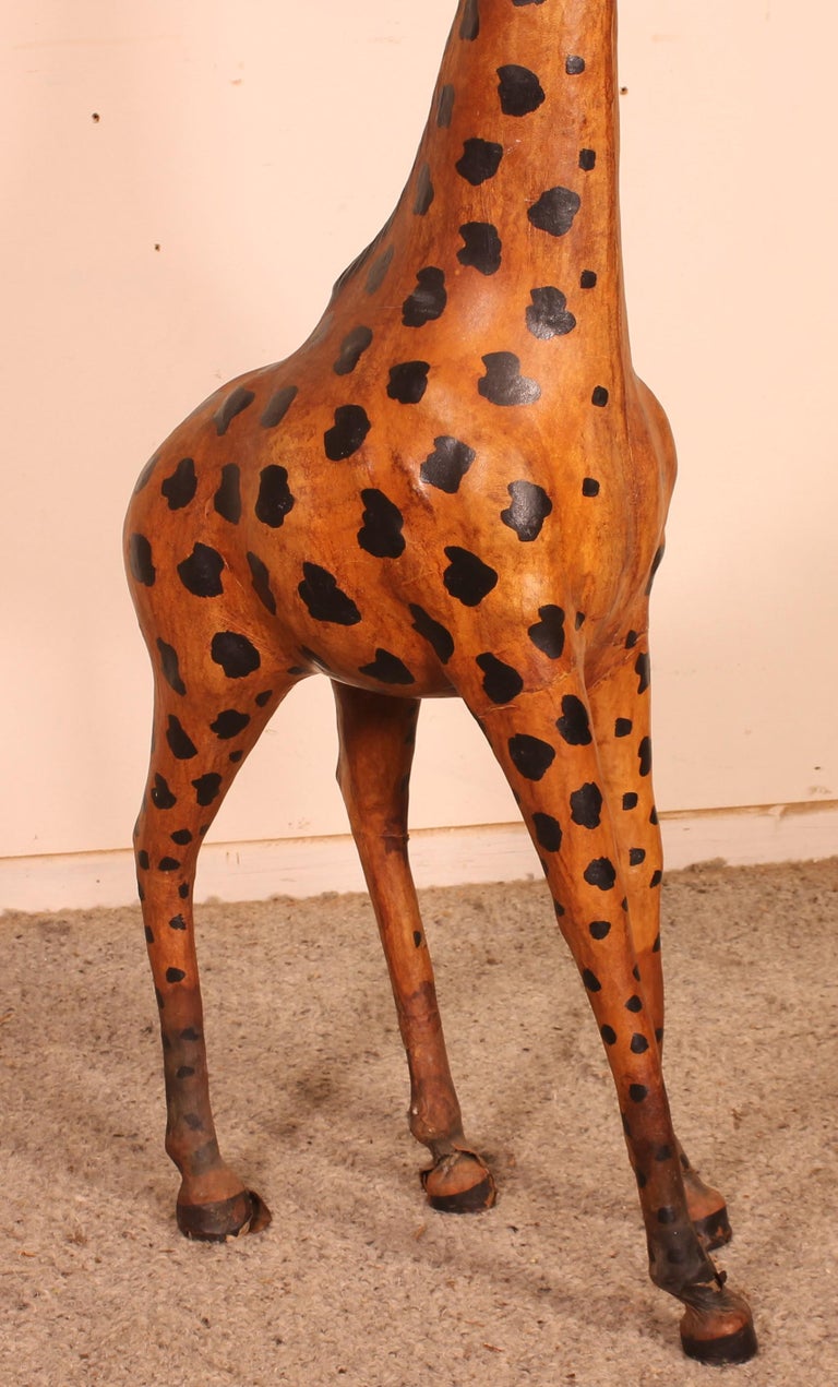 Superb leather giraffe from England from the 20th century from the 50's
Very nice giraffe in superb condition which has a very beautiful patina.
The black spots are painted.
Very nice unusual decorative object.
  