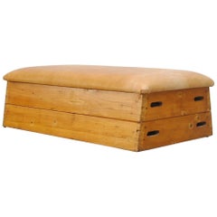 Retro Leather Gymnastic Horse Bench or Coffee Table
