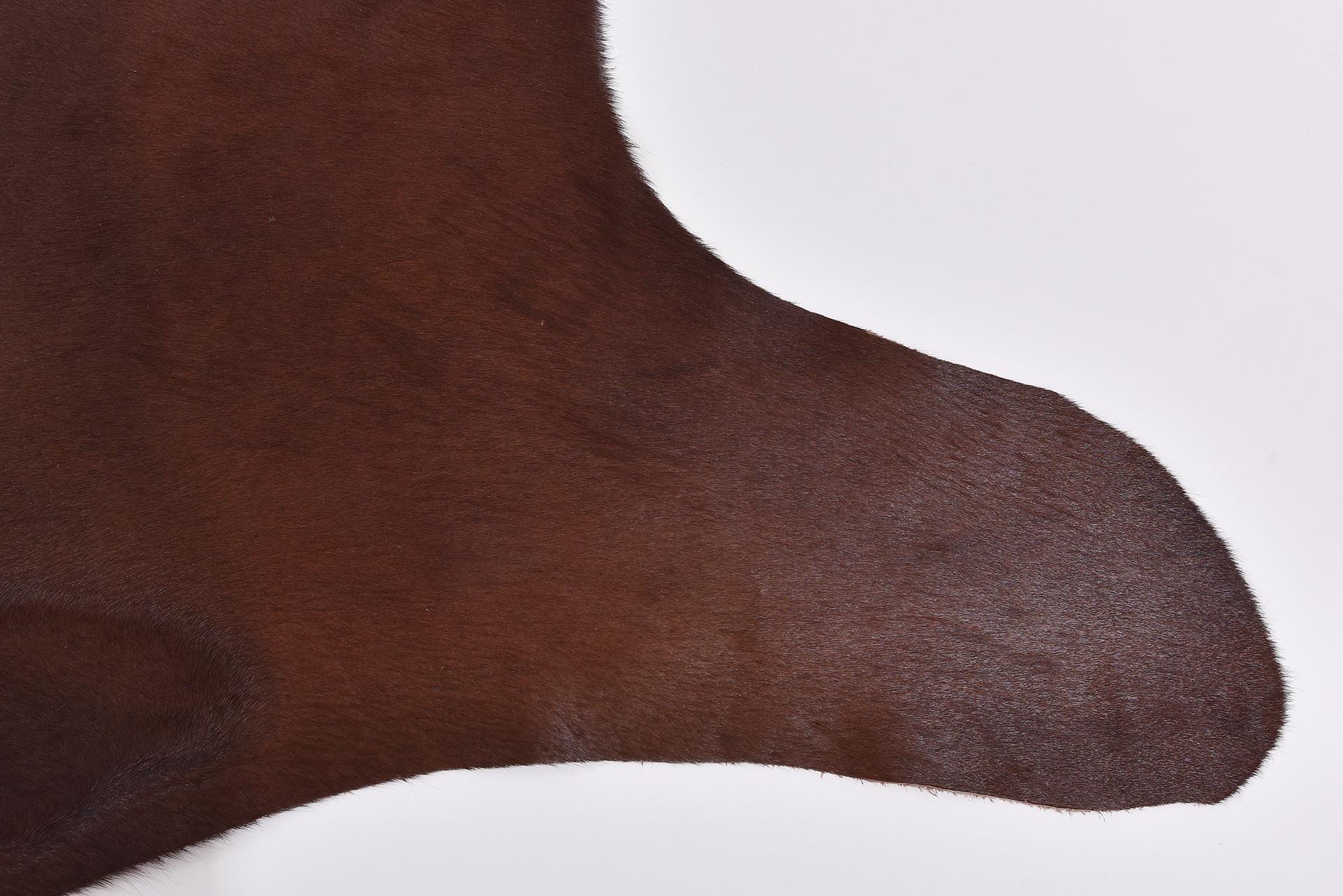 Brazilian Leather in Natural Brown Color For Sale