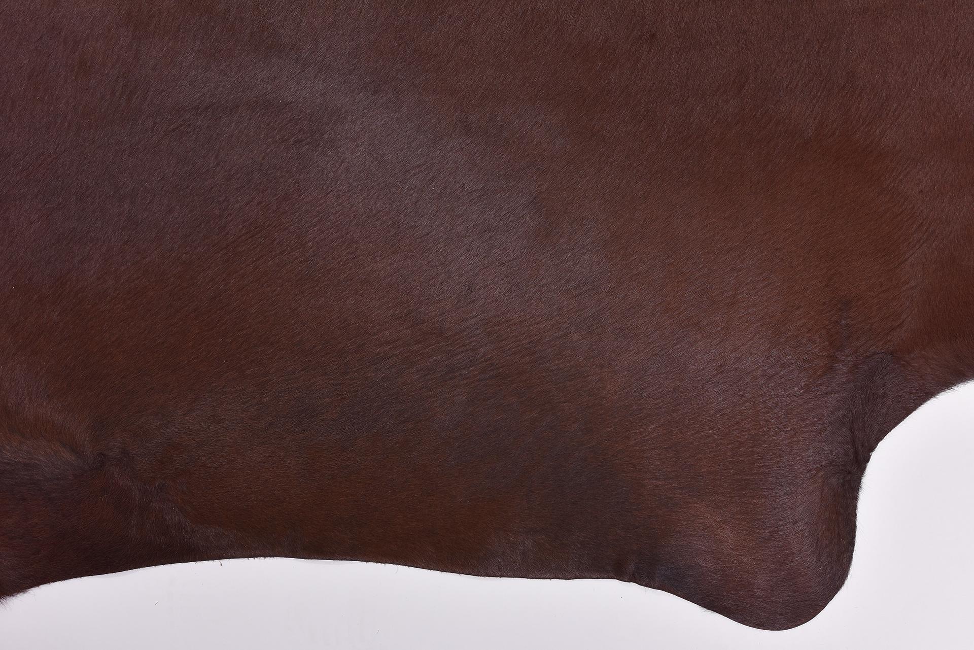 Contemporary Leather in Natural Brown Color For Sale