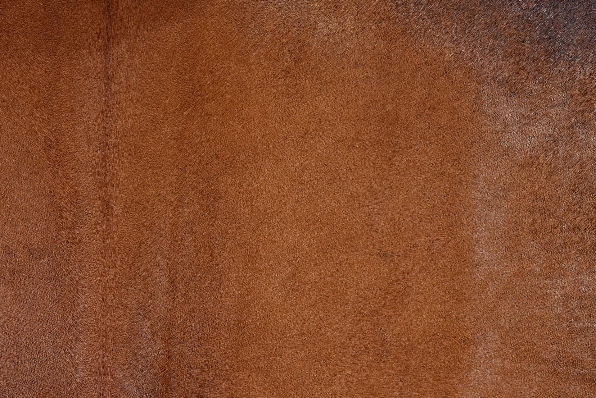 Brazilian Leather in Natural Color For Sale