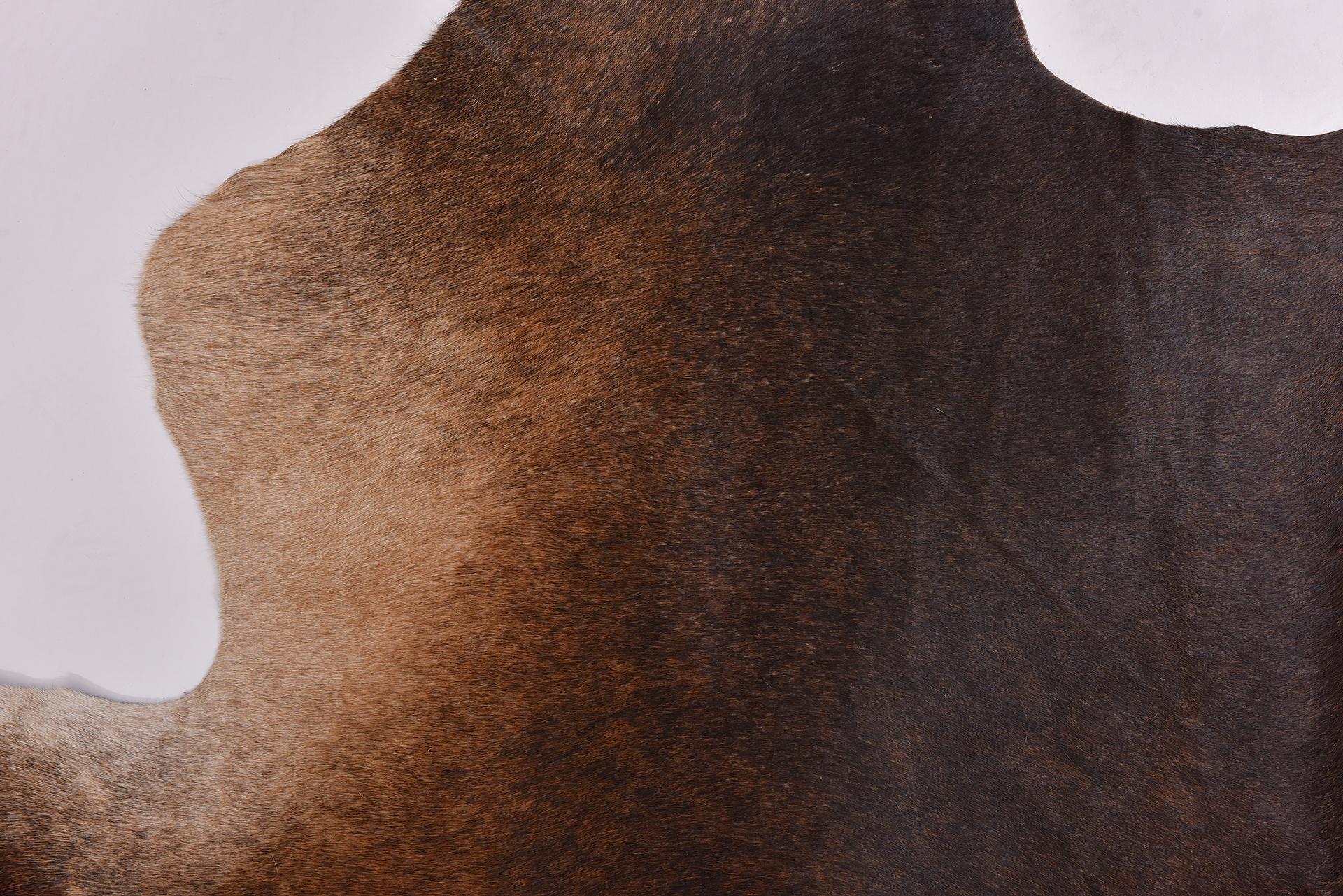 Contemporary Leather in Natural Color For Sale