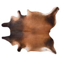 Brown Bovine Leather For Sale at 1stDibs | what is bovine leather