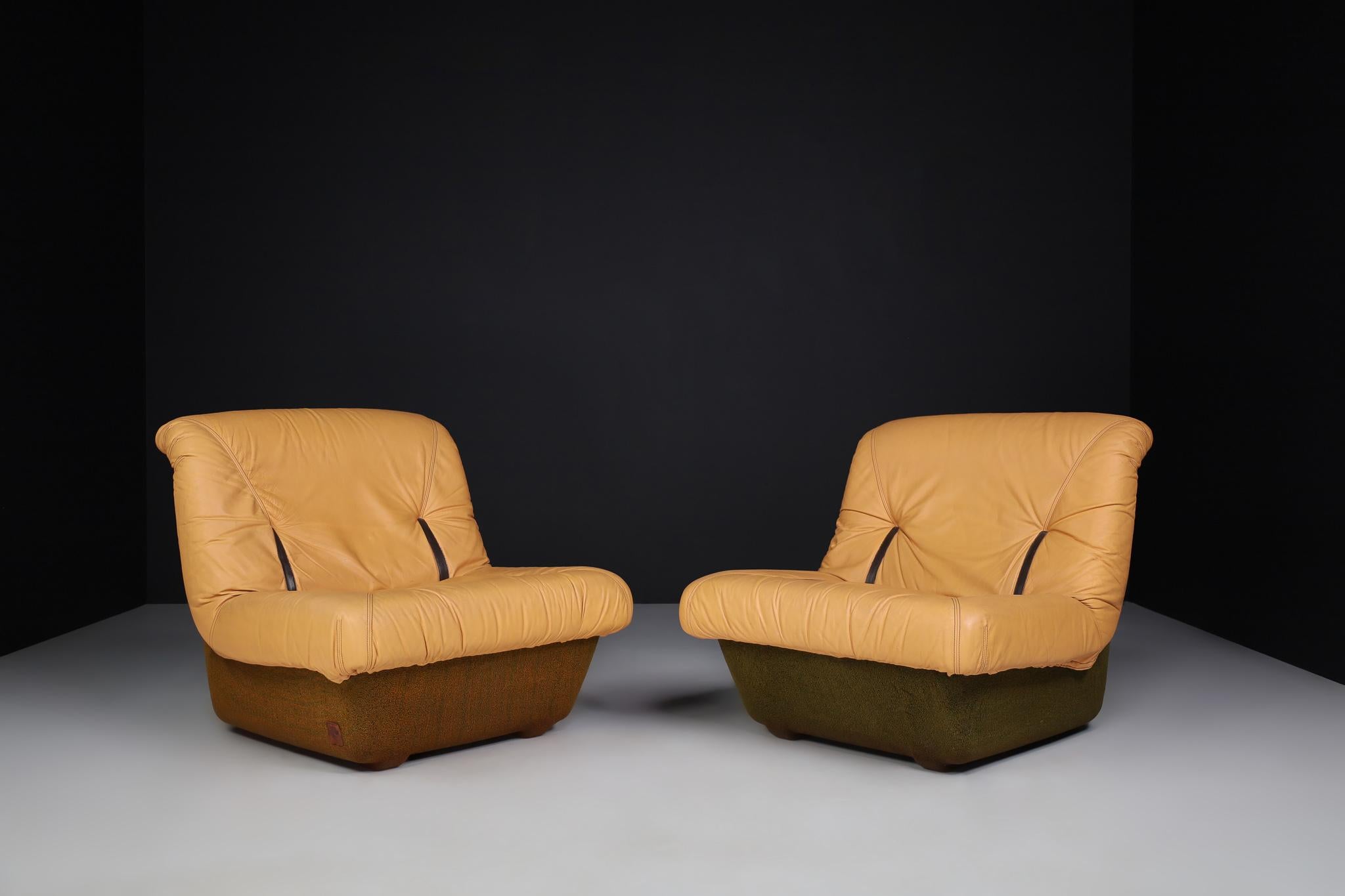 Leather Lounge Chairs by Lev & Lev, Italy, 1970s 2