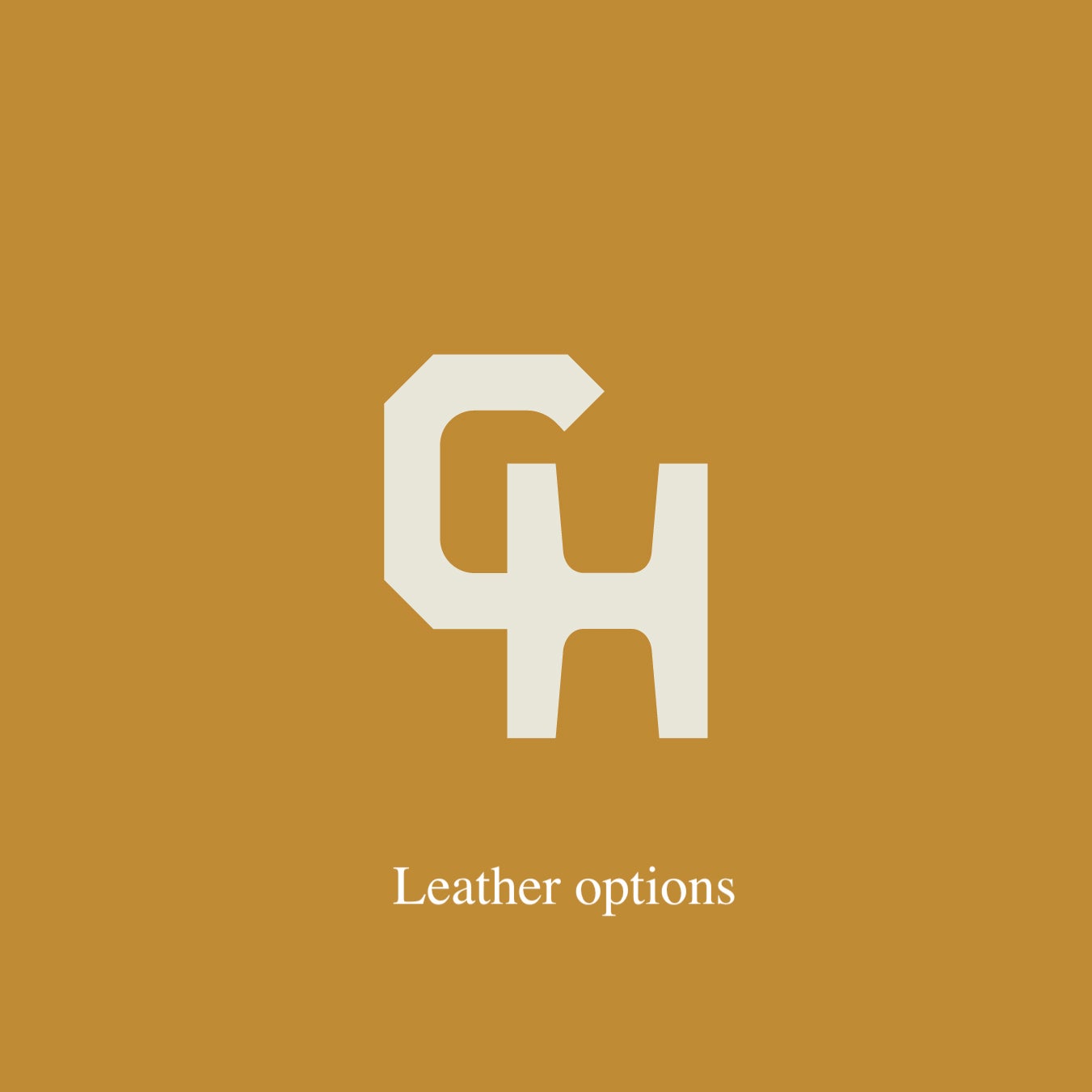 Leather options