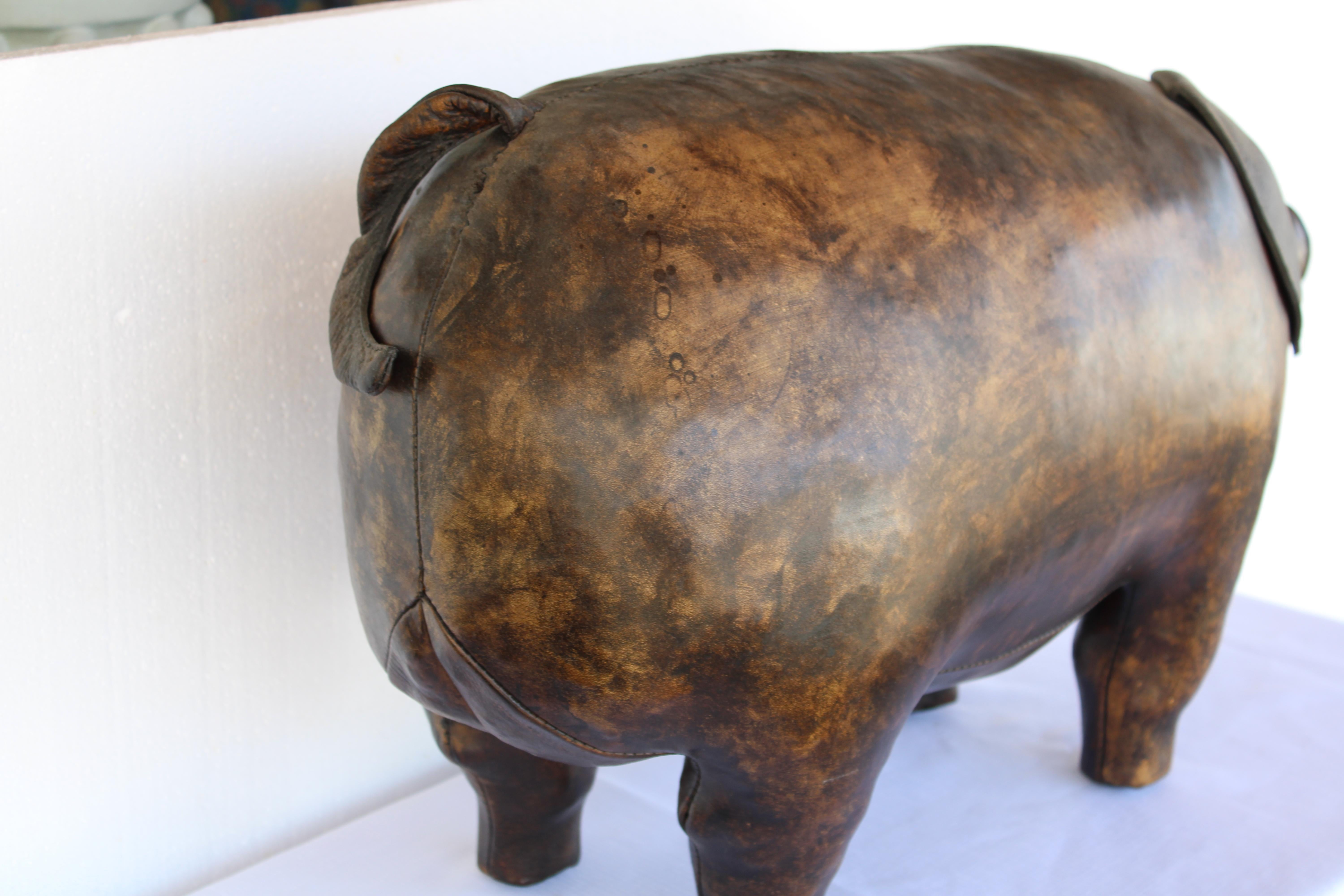 cerdito de la corte san cristobal