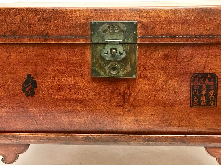 Leather Pig Skin Trunk On Stand Coffee Table For Sale At