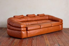 Leather Sofa by De Pas, D'urbino, Lomazzi