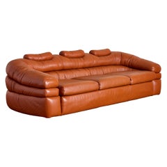Ledersofa von De Pas, D'urbino, Lomazzi