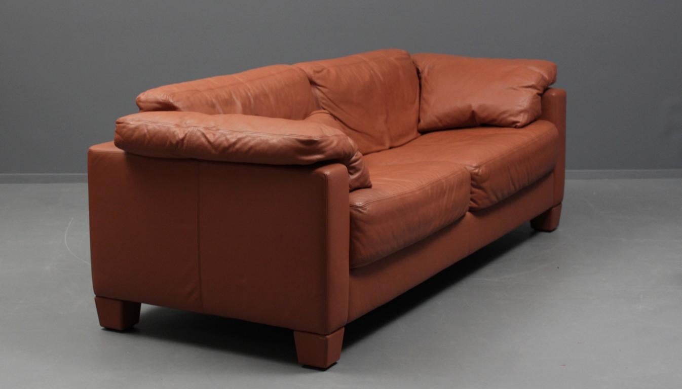 Swiss Leather Sofa Set by De Sede