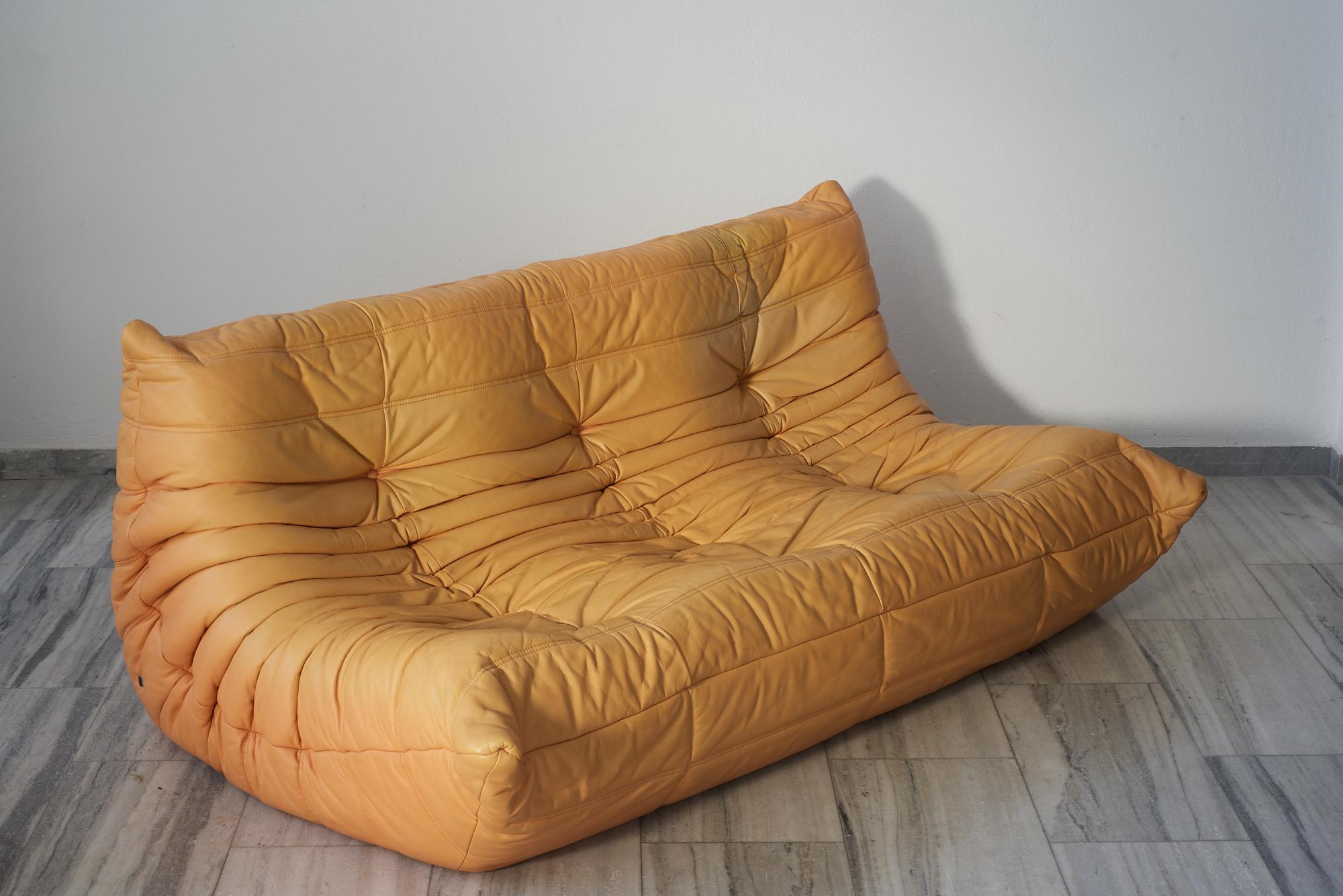 Togo-Sofa aus Leder von Michel Ducaroy für Ligne Roset (Moderne) im Angebot