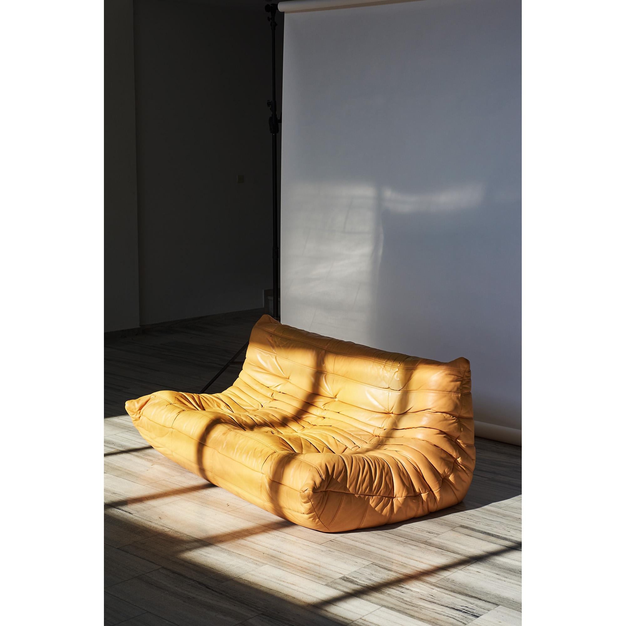 French Leather togo sofa by Michel Ducaroy for Ligne Roset For Sale